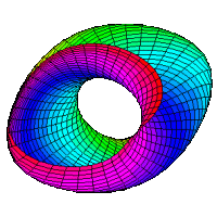 Torus Graph